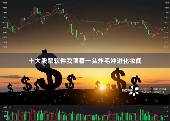 十大股票软件我顶着一头炸毛冲进化妆间